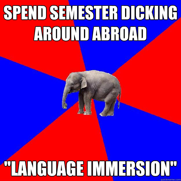 Spend semester dicking around abroad 