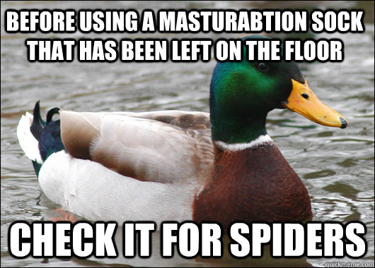 before using a masturabtion sock that has been left on the floor Check it for spiders  Actual Advice Mallard