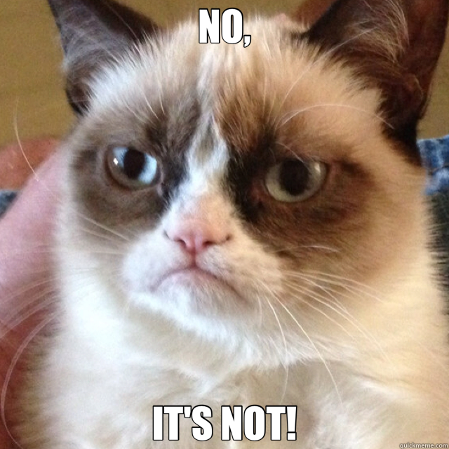 NO, IT'S NOT! - NO, IT'S NOT!  Misc