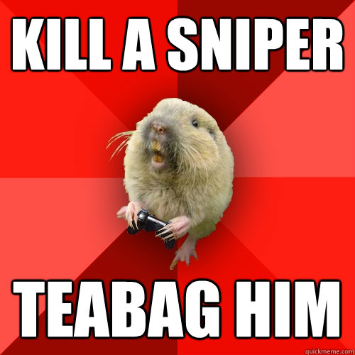 Kill a sniper Teabag him  Gaming Gopher