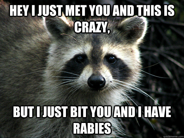 Hey I just met you and this is crazy, but i just bit you and i have rabies  call me maybe raccoon