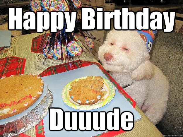 Happy Birthday Duuude - Happy Birthday Duuude  Stoned Birthday Dog