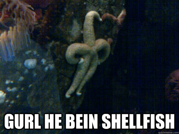  GURL HE BEIN SHELLFISH   