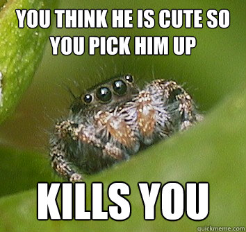 You think he is cute so you pick him up Kills you  Misunderstood Spider