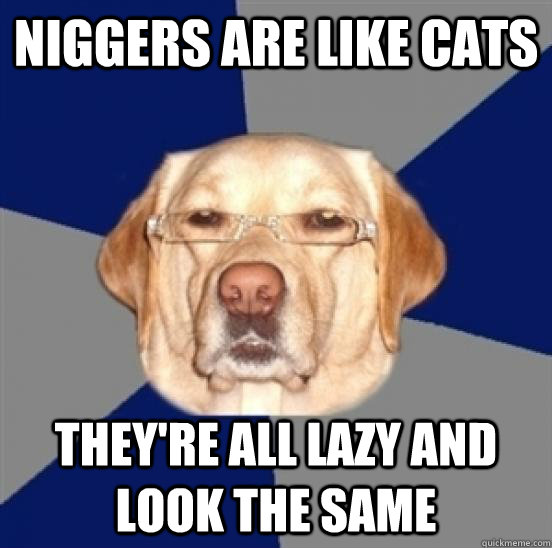 niggers are like cats they're all lazy and look the same - niggers are like cats they're all lazy and look the same  Racist Dog