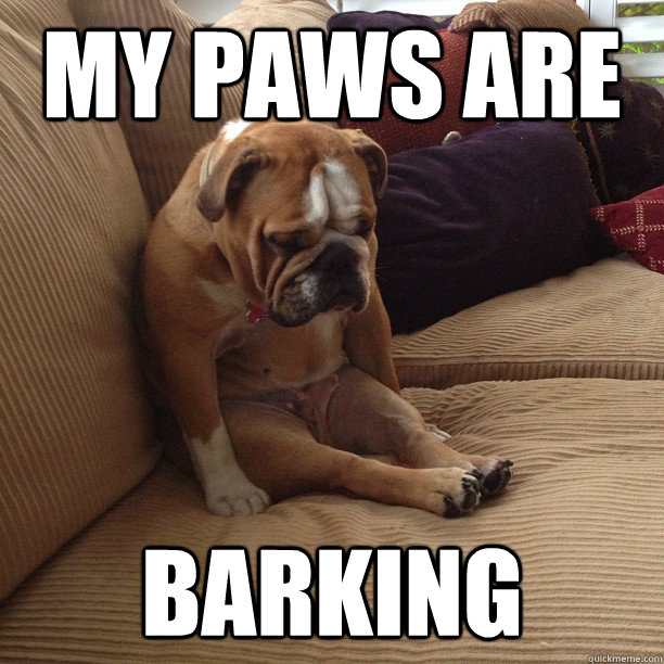 My paws are barking  depressed dog