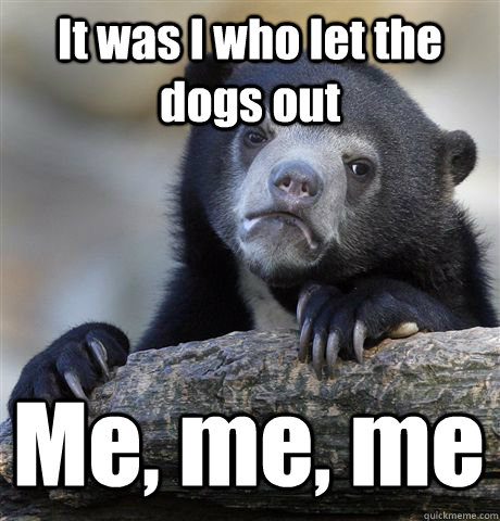 It was I who let the dogs out Me, me, me  Confession Bear