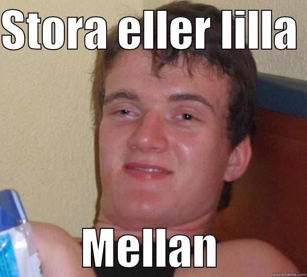 STORA ELLER LILLA MELLAN 10 Guy