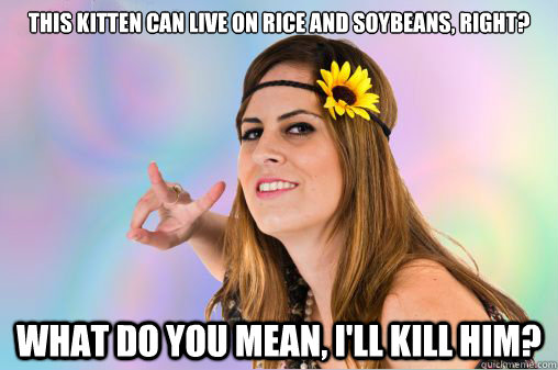 This kitten can live on rice and soybeans, right? What do you mean, I'll kill him?  Annoying Vegan