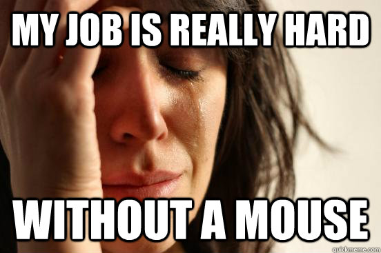 My job is really hard without a mouse  First World Problems