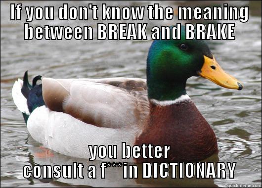 IF YOU DON'T KNOW THE MEANING BETWEEN BREAK AND BRAKE YOU BETTER CONSULT A F***IN DICTIONARY Actual Advice Mallard