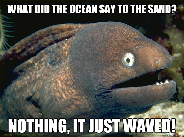 What did the ocean say to the sand? Nothing, it just waved!  Bad Joke Eel