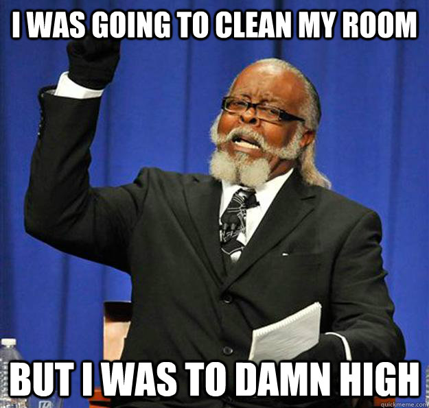 i was going to clean my room but i was to damn high  Jimmy McMillan