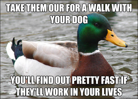 take them our for a walk with your dog you'll find out pretty fast if they'll work in your lives  Actual Advice Mallard