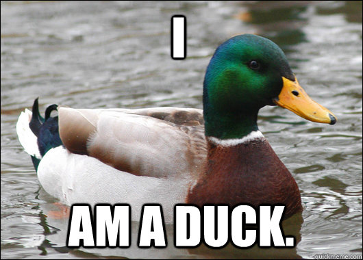 I AM A DUCK.  Actual Advice Mallard