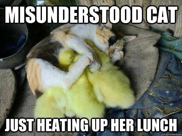 Misunderstood cat Just heating up her lunch - Misunderstood cat Just heating up her lunch  Misc