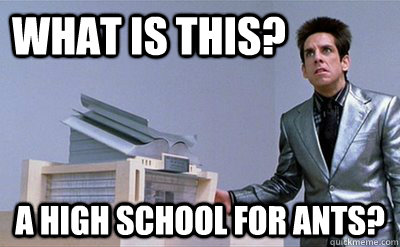 What is this? a high school for ants? - What is this? a high school for ants?  Zoolander