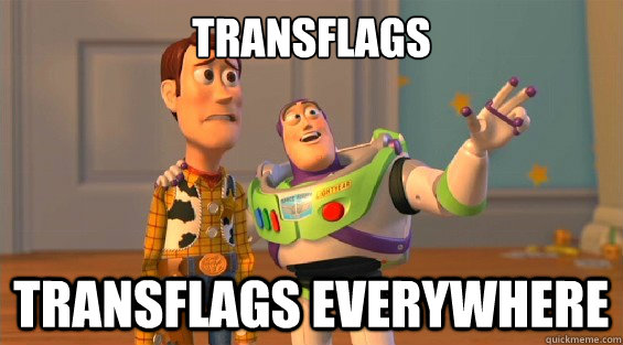 Transflags transflags everywhere  boromirs everywhere