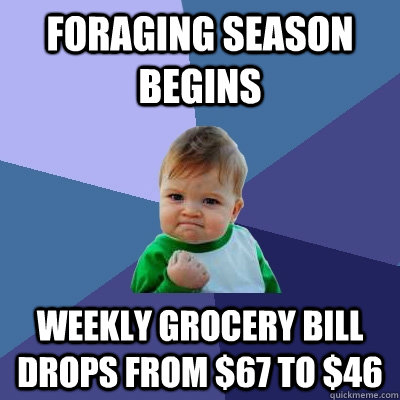 Foraging Season begins Weekly grocery bill drops from $67 to $46 - Foraging Season begins Weekly grocery bill drops from $67 to $46  Success Kid