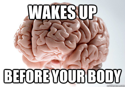 WAKES UP BEFORE YOUR BODY   Scumbag Brain
