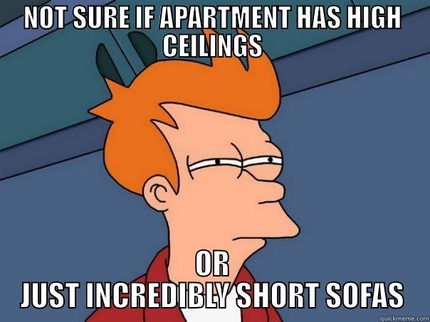 NOT SURE IF APARTMENT HAS HIGH CEILINGS OR JUST INCREDIBLY SHORT SOFAS Futurama Fry