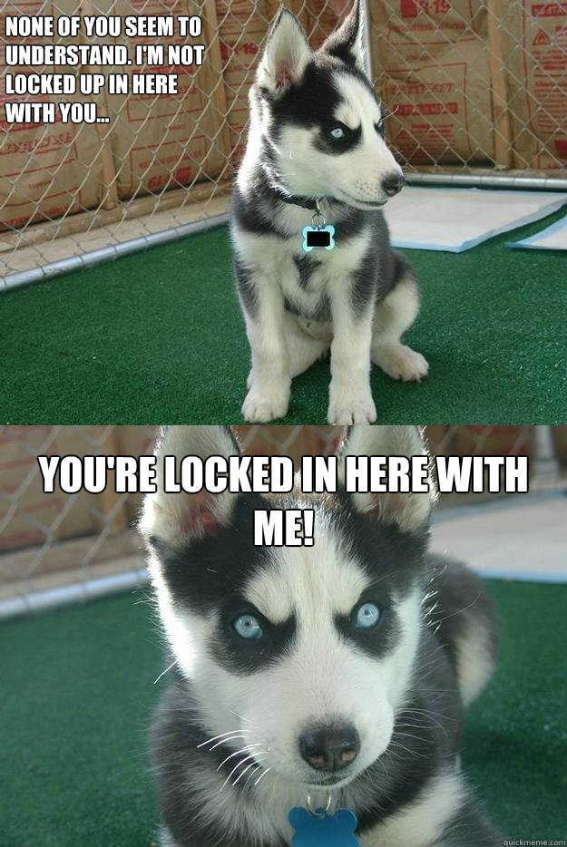 None of you seem to 
understand. I'm not 
locked up in here 
with you... YOU'RE LOCKED IN HERE WITH ME!  Insanity puppy