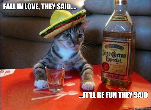 fall in love, they said.... ...it'll be fun they said - fall in love, they said.... ...it'll be fun they said  tequila cat