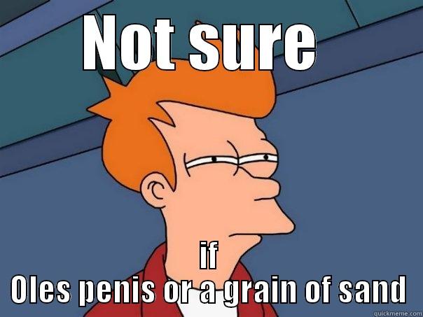 NOT SURE  IF OLES PENIS OR A GRAIN OF SAND Futurama Fry