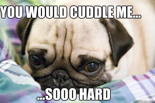 you would cuddle me... ...Sooo hard  Puppy Cuddle