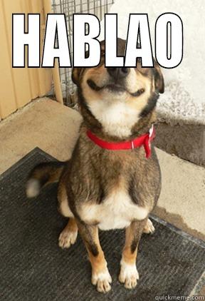 HABLAO  Good Dog Greg