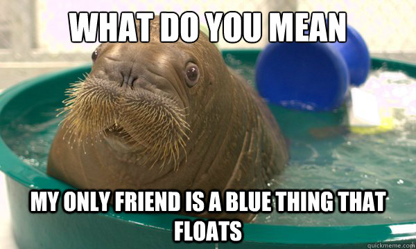 What do you mean My only friend is a blue thing that floats  