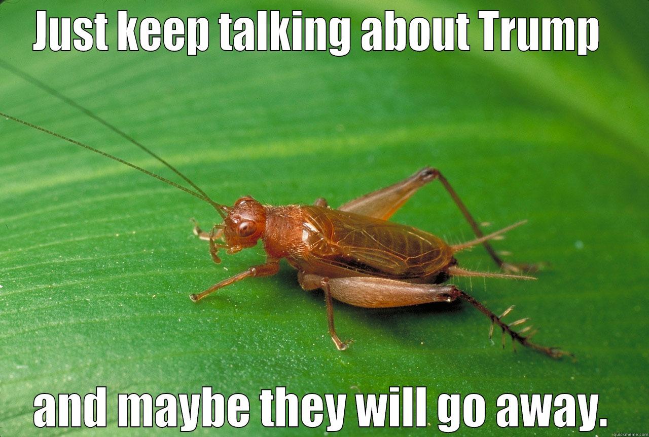 JUST KEEP TALKING ABOUT TRUMP  AND MAYBE THEY WILL GO AWAY. Misc