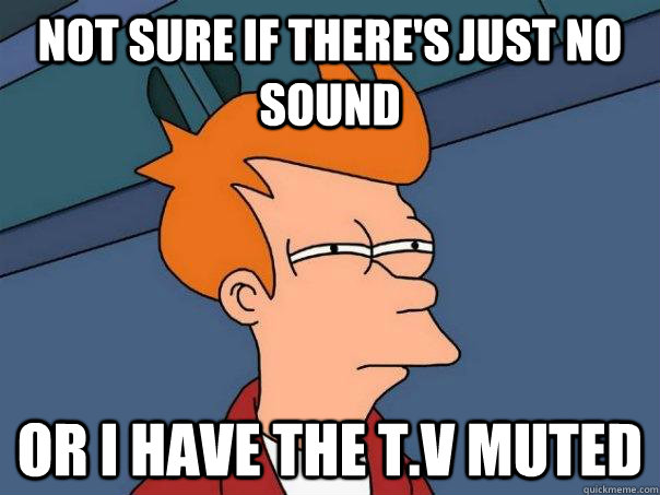 Not sure if there's just no sound Or I have the t.v muted - Not sure if there's just no sound Or I have the t.v muted  Futurama Fry