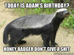 today is adam's birthday? honey badger don't give a shit  