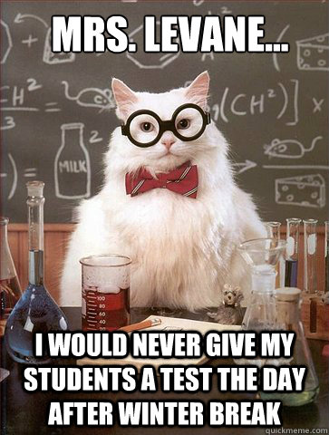 Mrs. Levane... I would never give my students a test the day after winter break  Science Cat