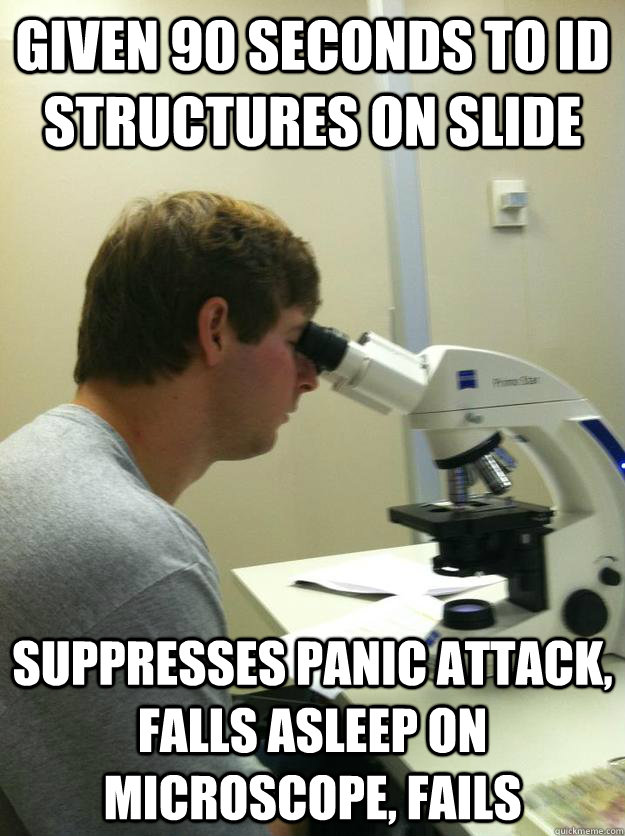 Given 90 seconds to id structures on slide Suppresses panic attack, falls asleep on microscope, fails  