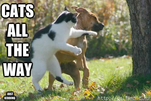  just kidding Cats all the way  