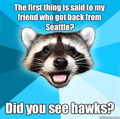 The first thing is said to my friend who got back from Seattle? Did you see hawks?  Lame Pun Coon