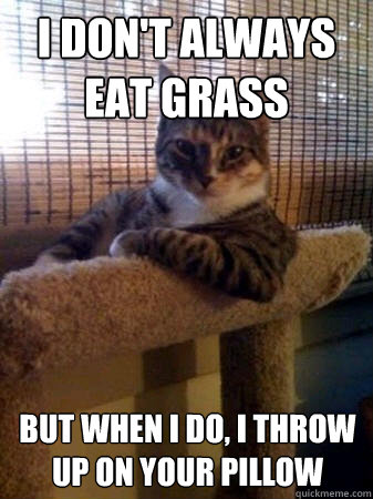 I don't always eat grass but when I do, I throw up on your pillow  The Most Interesting Cat in the World