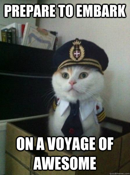 prepare to embark on a voyage of awesome  Captain kitteh