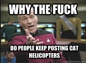 Why the fuck do people keep posting cat helicopters   Annoyed Picard