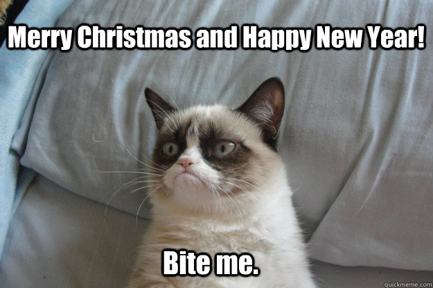 Merry Christmas and Happy New Year! Bite me. - Merry Christmas and Happy New Year! Bite me.  tard grumpy cat