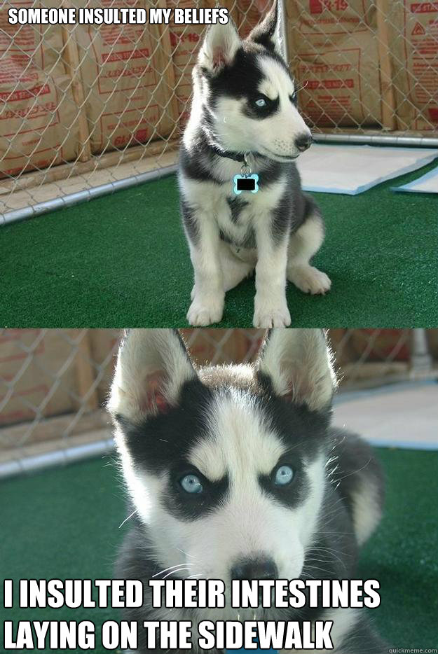 Someone insulted my beliefs I insulted their intestines laying on the sidewalk  Insanity puppy