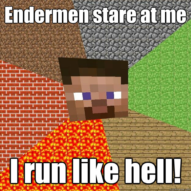 Endermen stare at me I run like hell!  Minecraft