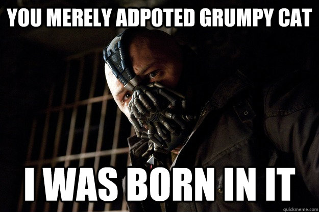You merely adpoted grumpy cat I was born in it  Angry Bane