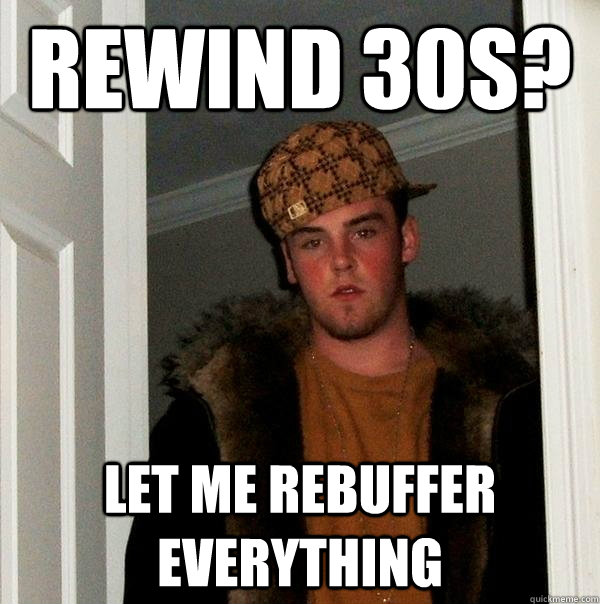 Rewind 30s? Let me rebuffer everything  Scumbag Steve