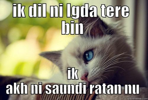 IK DIL NI LGDA TERE  BIN IK AKH NI SAUNDI RATAN NU First World Problems Cat