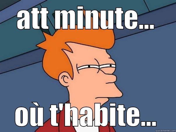 ATT MINUTE... OÙ T'HABITE... Futurama Fry