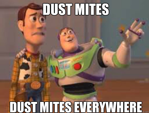 dust mites dust mites everywhere  