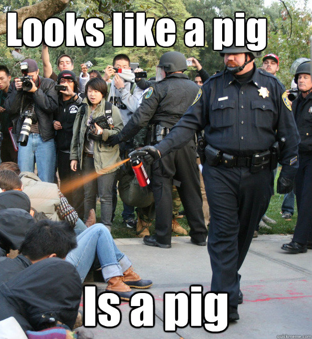 Looks like a pig Is a pig - Looks like a pig Is a pig  Self-fulfilling Stereotype Cop